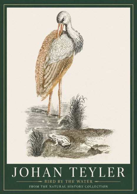 Johan Teyler Bird by the Water No3 - Poszter