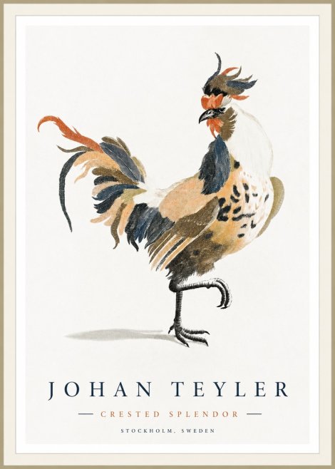 Johan Teyler Crested Splendor No1 - Poszter