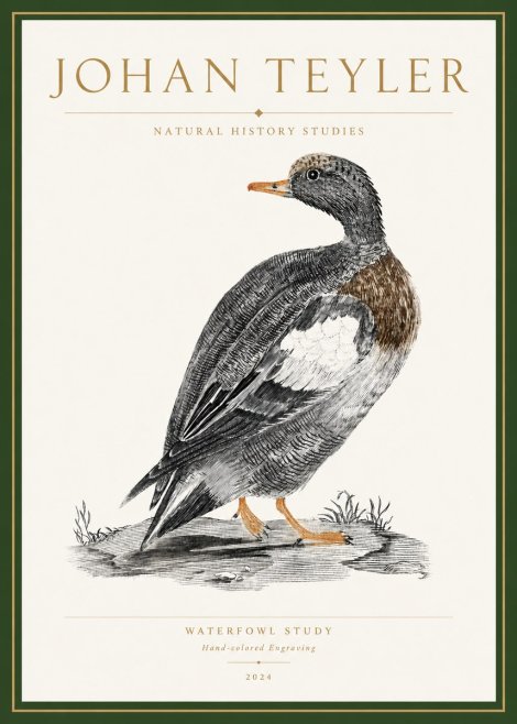 Johan Teyler Waterfowl Study No3 - Poszter