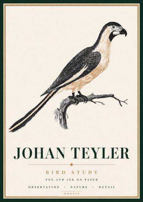 Johan Teyler Bird Study I No6 - Poszter