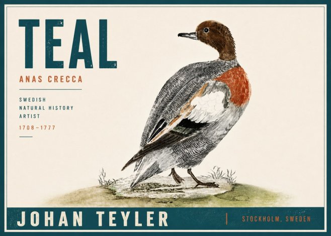 Johan Teyler Teal No5 - Poszter