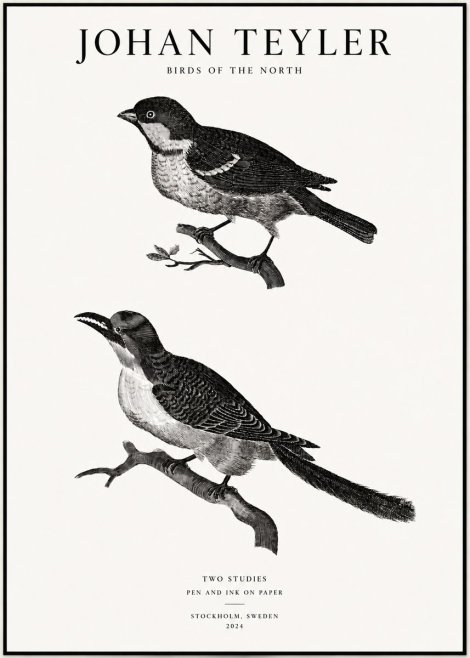 Johan Teyler Two Studies No1 - Poszter