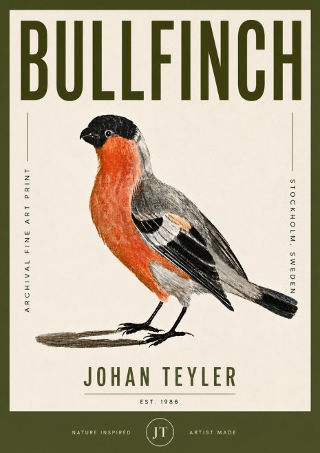Johan Teyler Bullfinch No5 - Poszter