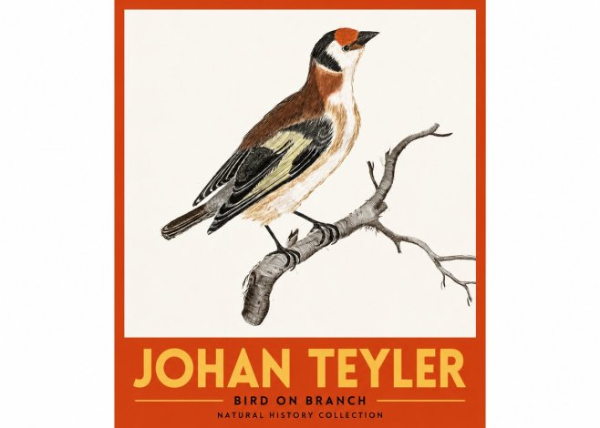 Johan Teyler Song of the Finch No3 - Poszter