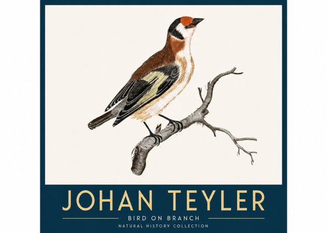 Johan Teyler Song of the Finch No4 - Poszter