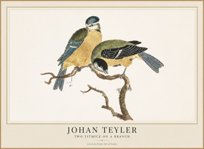 Johan Teyler Two Titmice on a Branch No1 - Poszter
