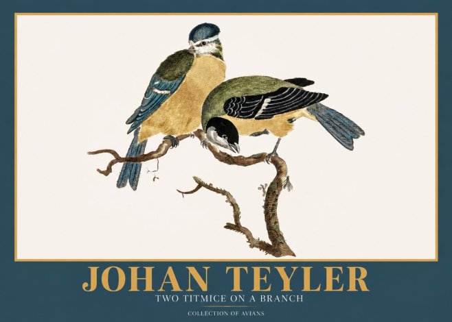 Johan Teyler Two Titmice on a Branch No2 - Poszter