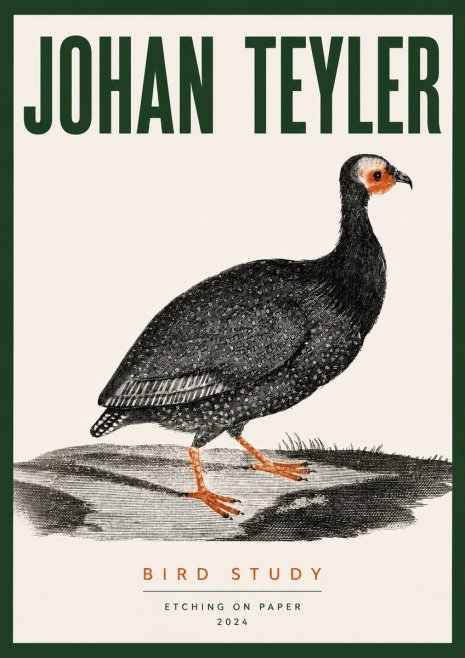 Johan Teyler Bird Study III No3 - Poszter
