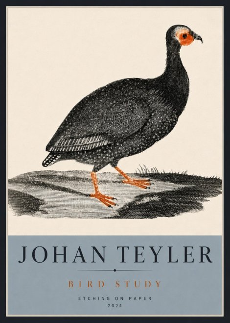 Johan Teyler Bird Study III No4 - Poszter