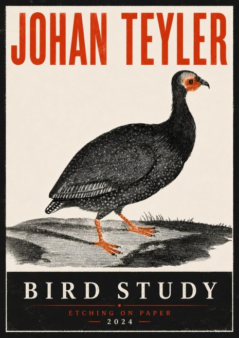 Johan Teyler Bird Study III No6 - Poszter