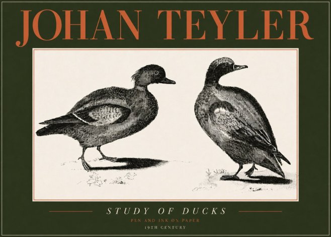Johan Teyler Study of Ducks No4 - Poszter