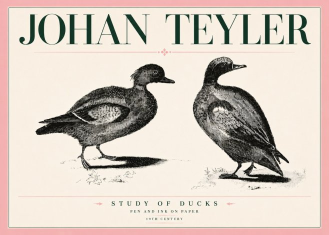 Johan Teyler Study of Ducks No5 - Poszter