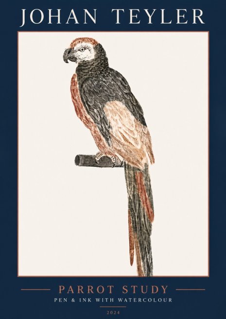 Johan Teyler Parrot Study II No5 - Poszter