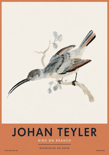 Johan Teyler Bird on Branch I No4 - Poszter