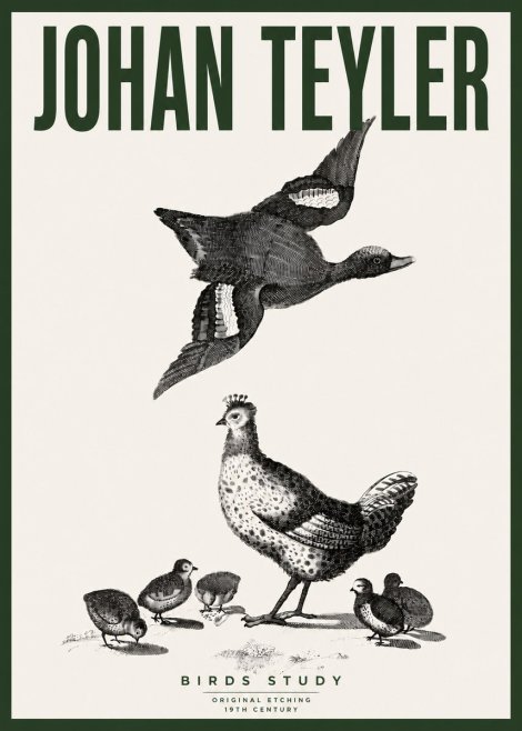 Johan Teyler Birds Study No4 - Poszter