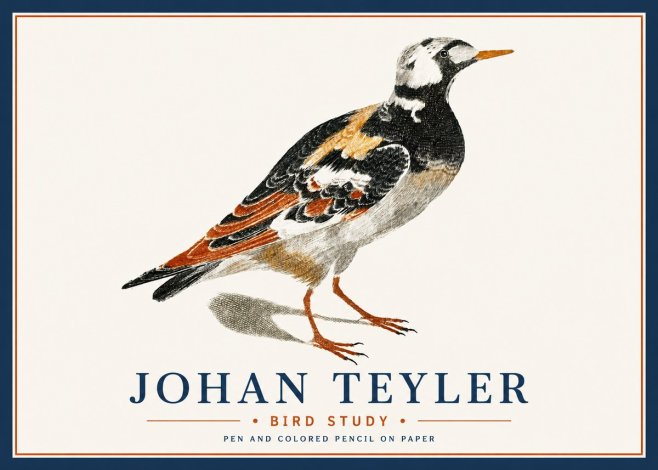 Johan Teyler Bird Study IV No6 - Poszter