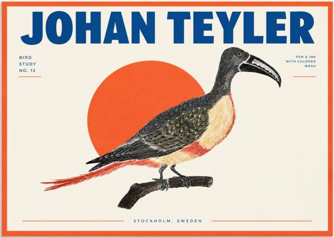 Johan Teyler Bird Study No. 12 - Original Drawing No2 - Poszter