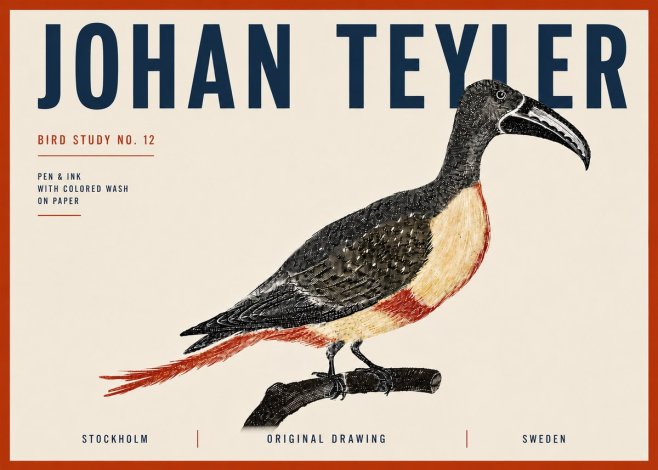 Johan Teyler Bird Study No. 12 - Original Drawing No6 - Poszter