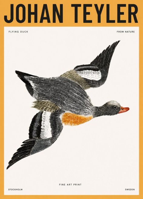 Johan Teyler Flying Duck No3 - Poszter
