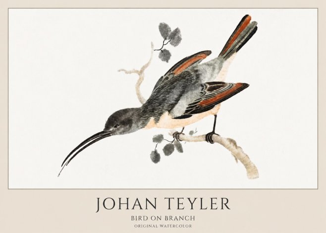 Johan Teyler Bird on Branch II No1 - Poszter