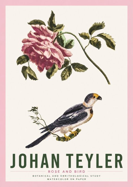 Johan Teyler Rose and Bird I No4 - Poszter