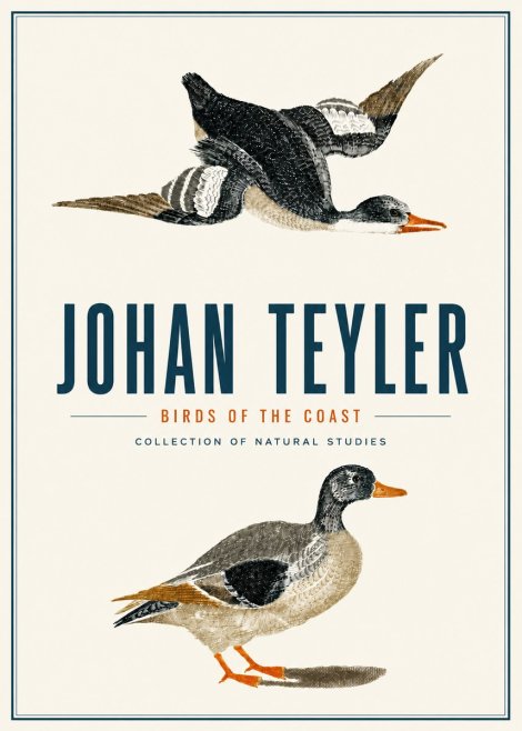 Johan Teyler Birds of the Coast No4 - Poszter