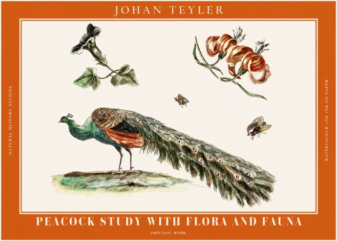 Johan Teyler Peacock Study with Flora and Fauna No2 - Poszter