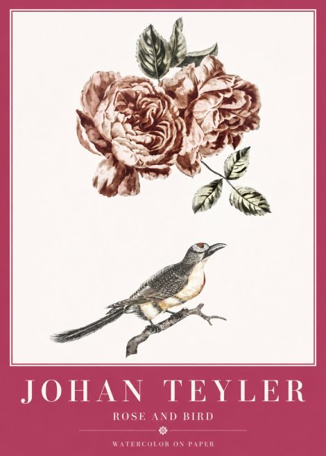 Johan Teyler Rose and Bird II No2 - Poszter