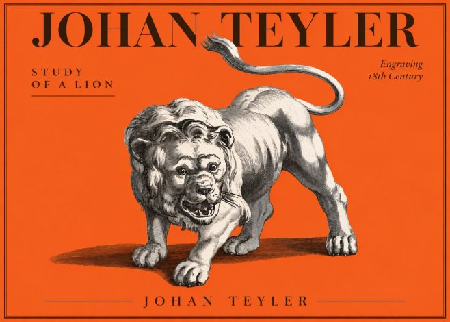 Johan Teyler Study of a Lion No3 - Poszter