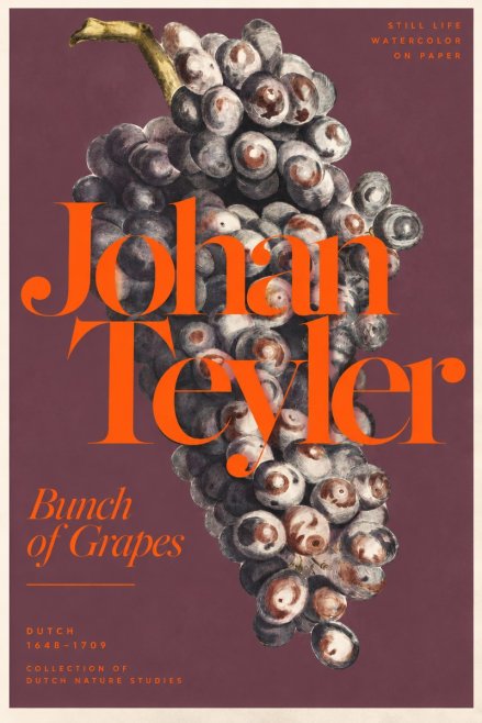 Johan Teyler Bunch of Grapes No3 - Poszter