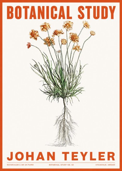 Johan Teyler Botanical Study No. 01 No2 - Poszter
