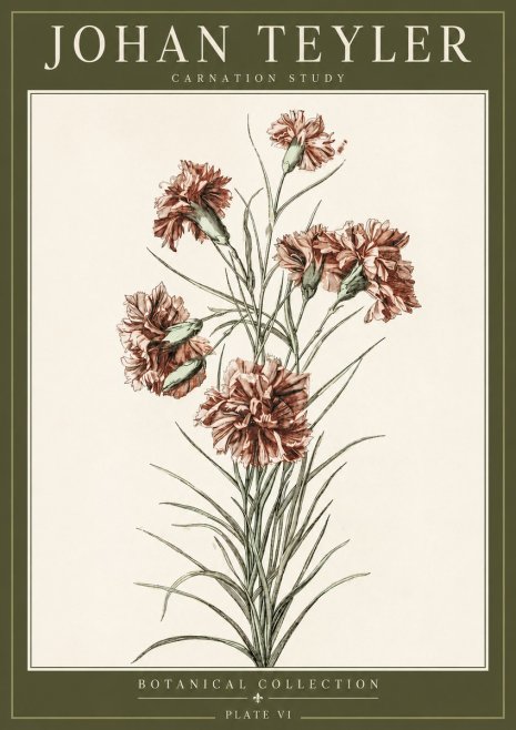 Johan Teyler Carnation Study No3 - Poszter
