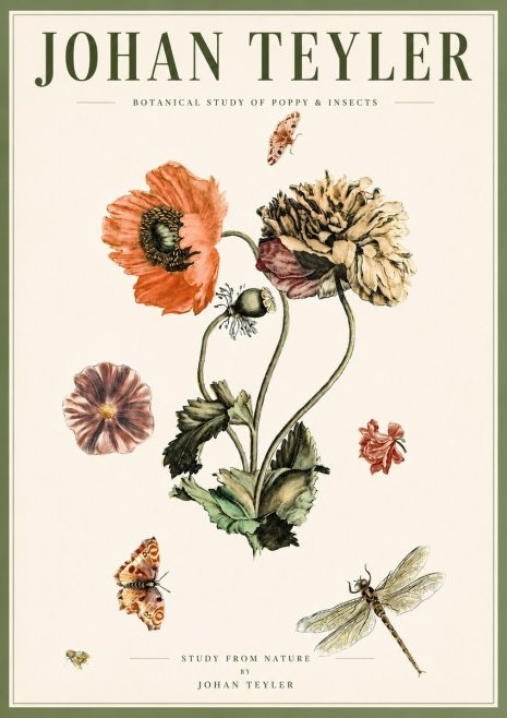 Johan Teyler Botanical Study of Poppy & Insects No5 - Poszter