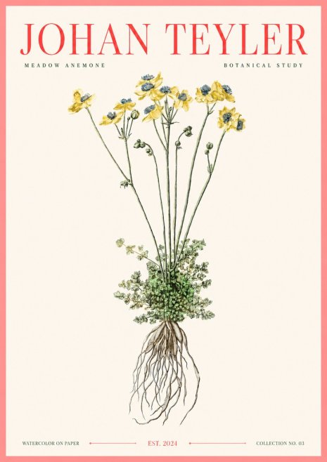 Johan Teyler Meadow Anemone No3 - Poszter