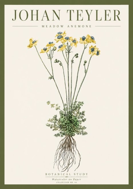 Johan Teyler Meadow Anemone No4 - Poszter