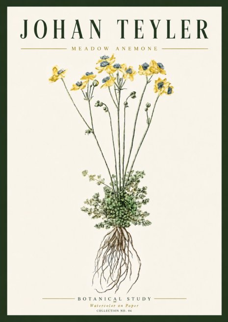 Johan Teyler Meadow Anemone No6 - Poszter