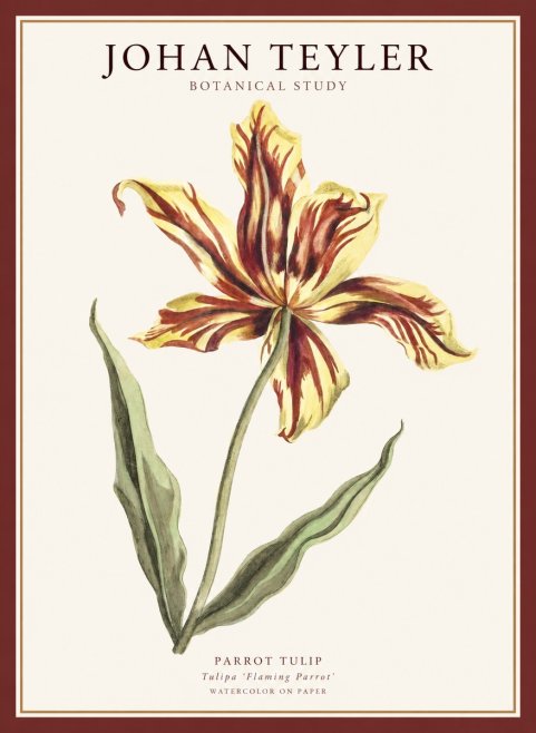 Johan Teyler Floral Study I No5 - Poszter