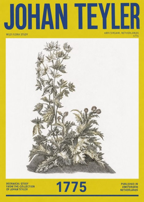 Johan Teyler Wild Flora Study No2 - Poszter