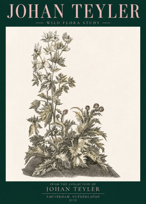 Johan Teyler Wild Flora Study No3 - Poszter