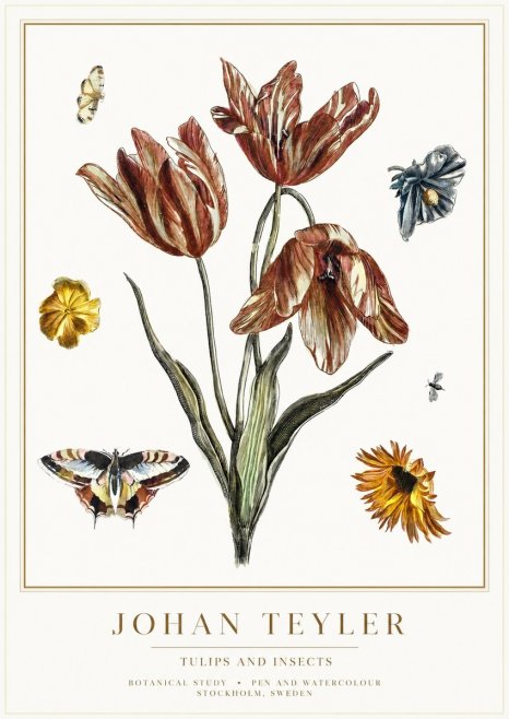 Johan Teyler Tulips and Insects No1 - Poszter