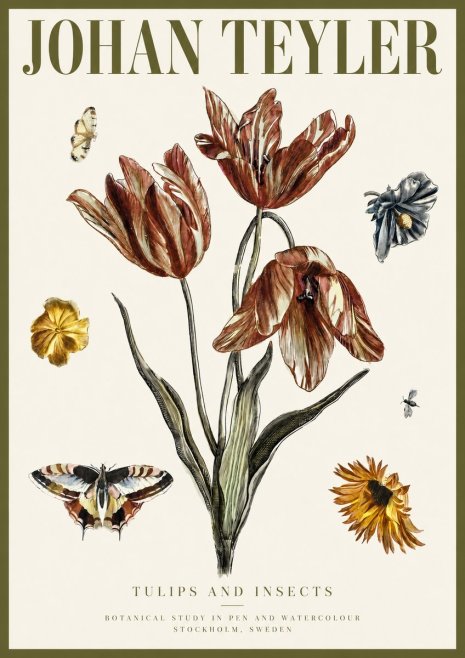 Johan Teyler Tulips and Insects No3 - Poszter