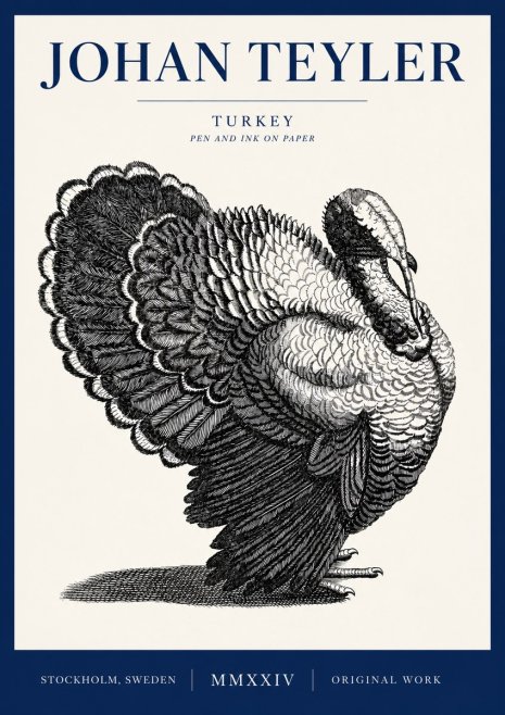 Johan Teyler Turkey No4 - Poszter