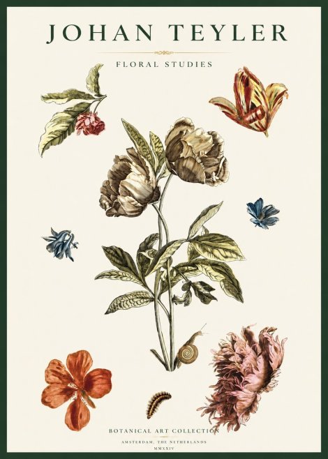 Johan Teyler Floral Studies No2 - Poszter