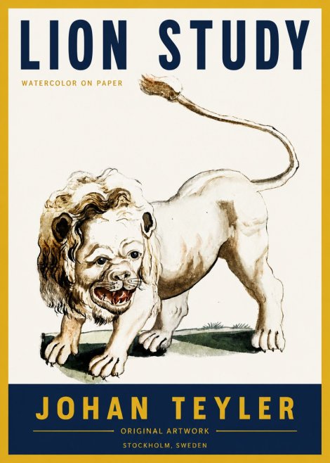 Johan Teyler Lion Study No4 - Poszter