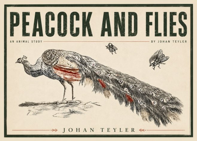 Johan Teyler Peacock and Flies - Animal Study No5 - Poszter