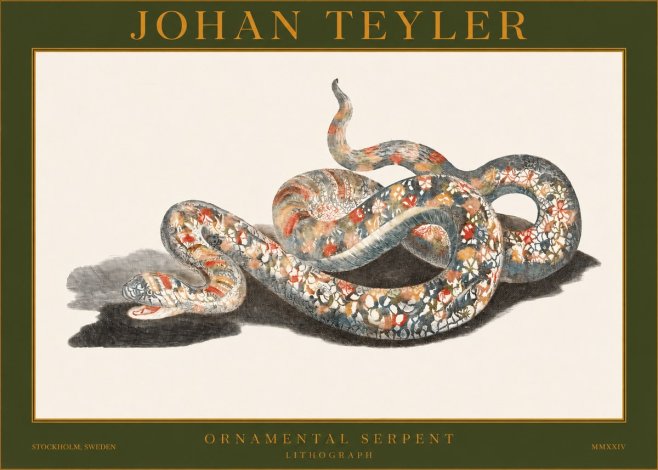 Johan Teyler Ornamental Serpent No1 - Poszter