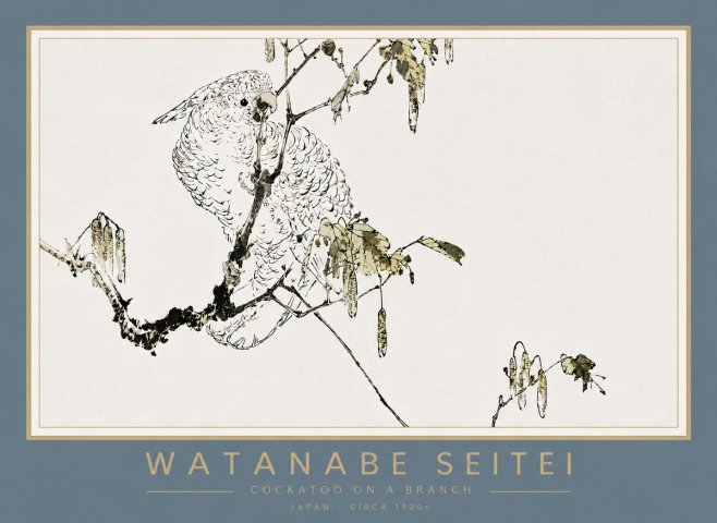 Watanabe Seitei Cockatoo on a Branch No4 - Poszter