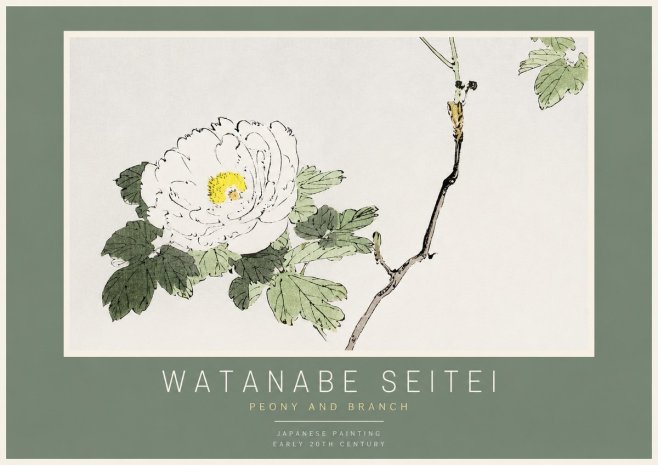 Watanabe Seitei Peony and Branch No2 - Poszter