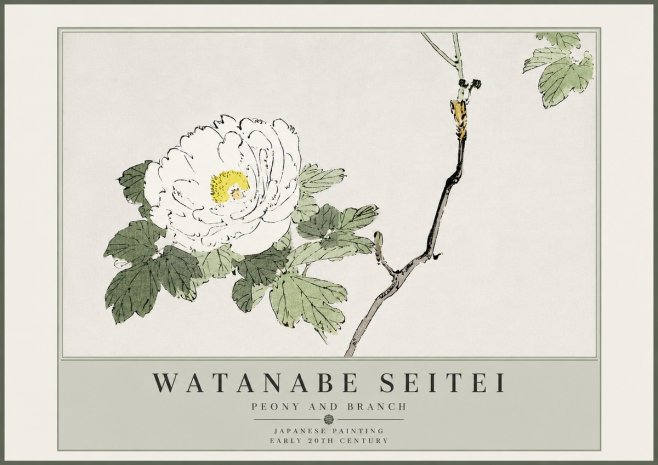 Watanabe Seitei Peony and Branch No5 - Poszter