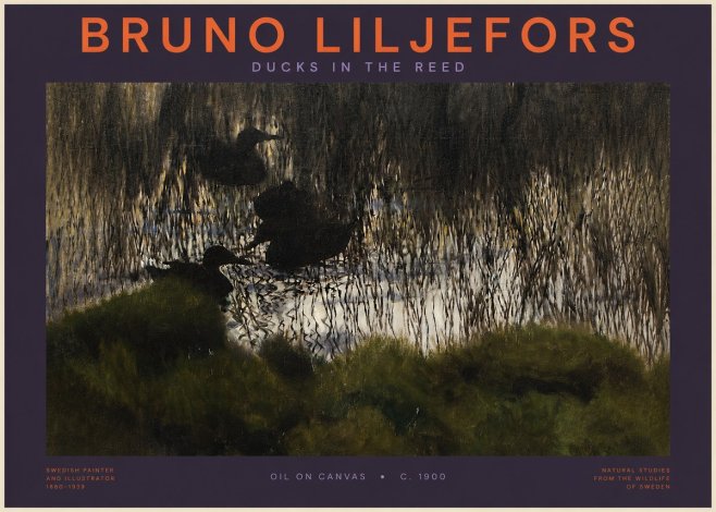 Bruno Liljefors Ducks in the Reed No2 - Poszter